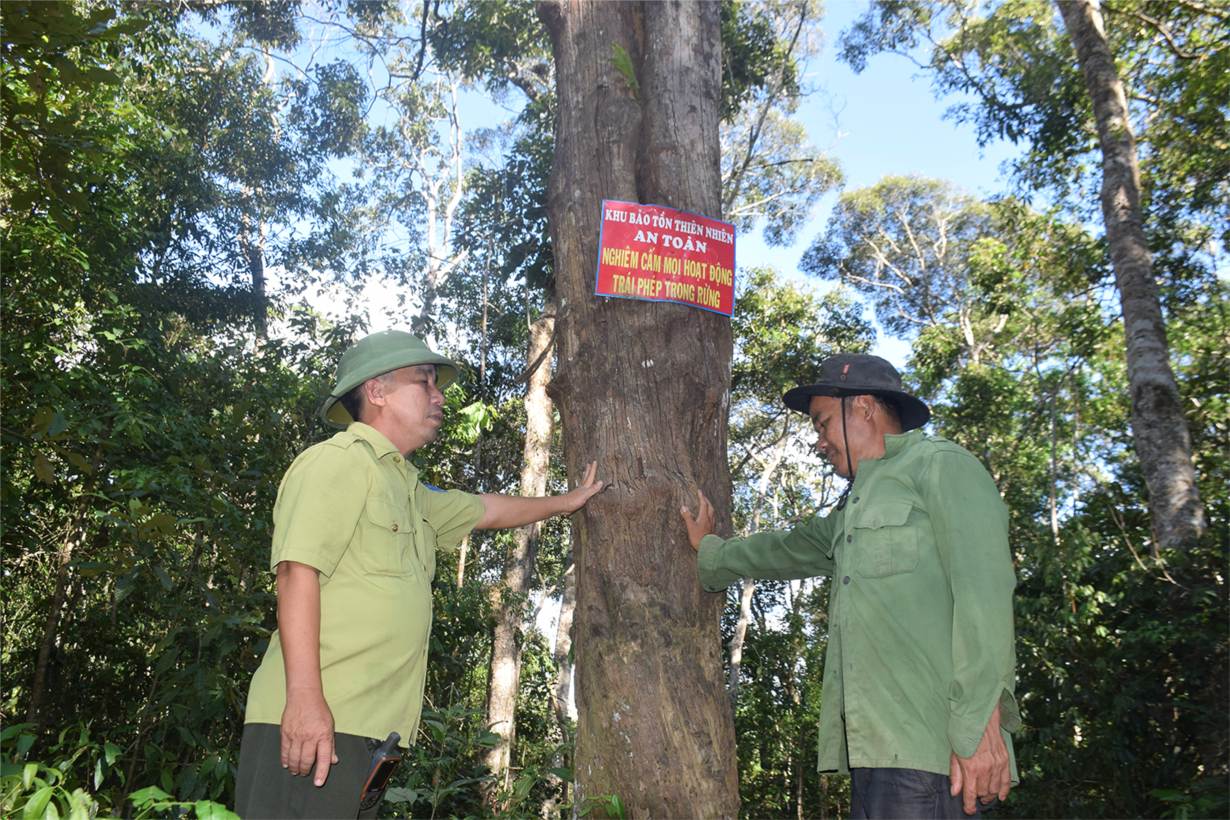 Người Ba Na cùng giữ rừng Khu bảo tồn thiên nhiên xã An Toàn, huyện An Lão, Bình Định(13/7/2021)